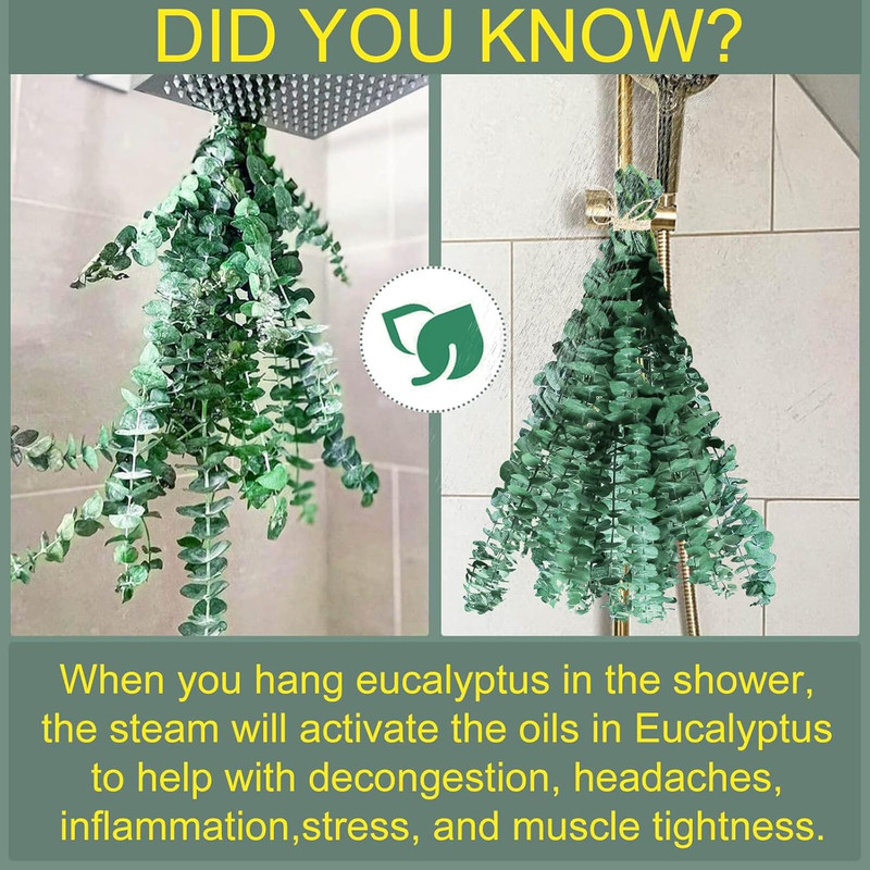 Bulk Package 30 PCS Real Dried Eucalyptus Plant Large Stems for Shower, 100% Na gallery