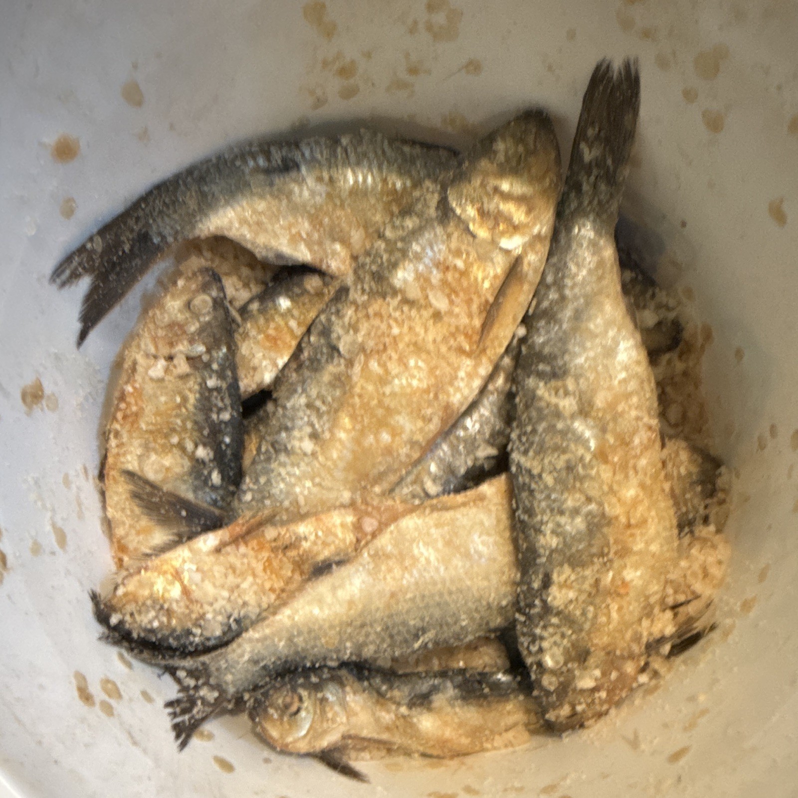 Container Packaged Seafood Pantry Salted Alewives 3 units gallery