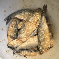 Container Packaged Seafood Pantry Salted Alewives 3 units