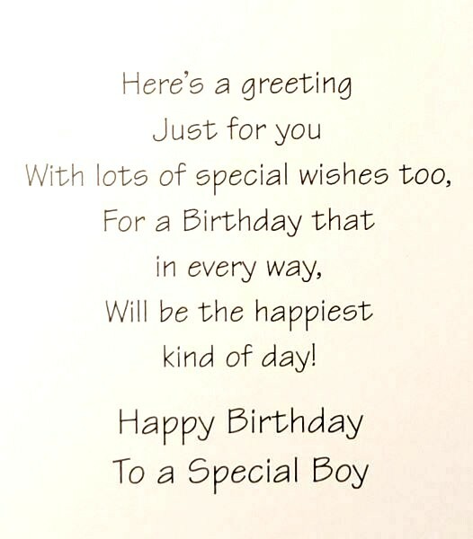 1 Birthday Greeting Card/Envelope Boy Child Kid Special Happy Airplane Bird Blue gallery