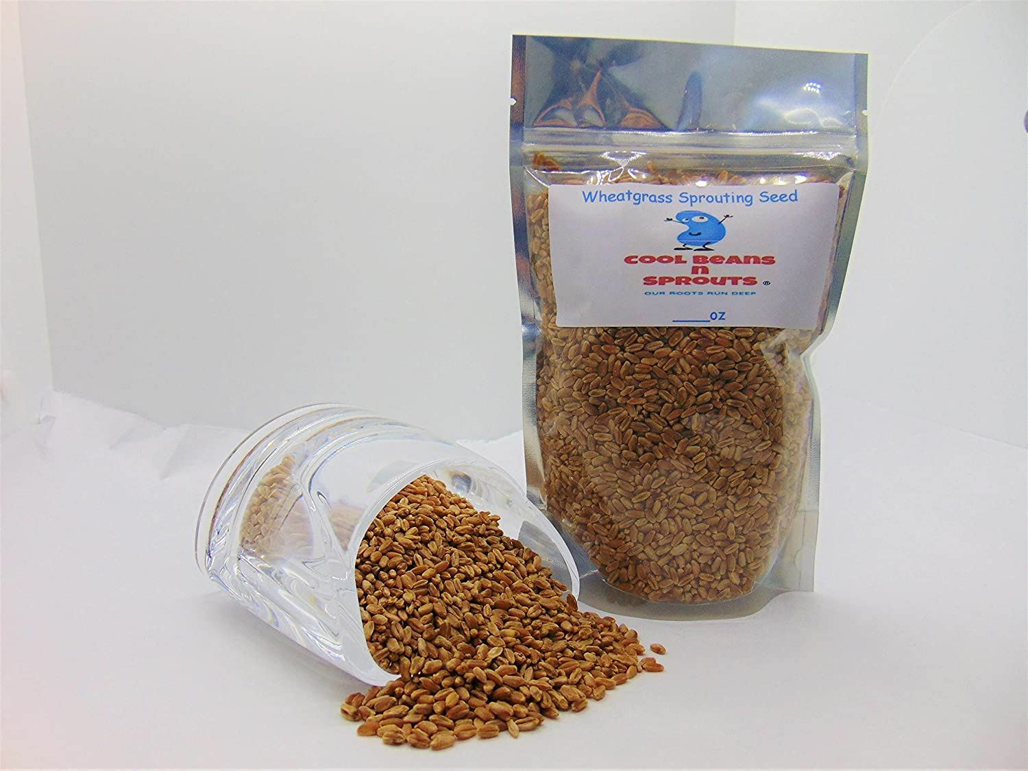 Wheatgrass Seeds for Sprouting Microgreens, COOL BEANS N SPROUTS, gallery