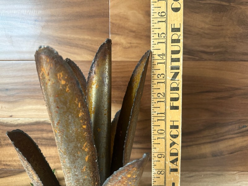 Handcrafted Rustic TINY Metal Agave Metal Yard Art Metal Cactus Rustic Agave gallery