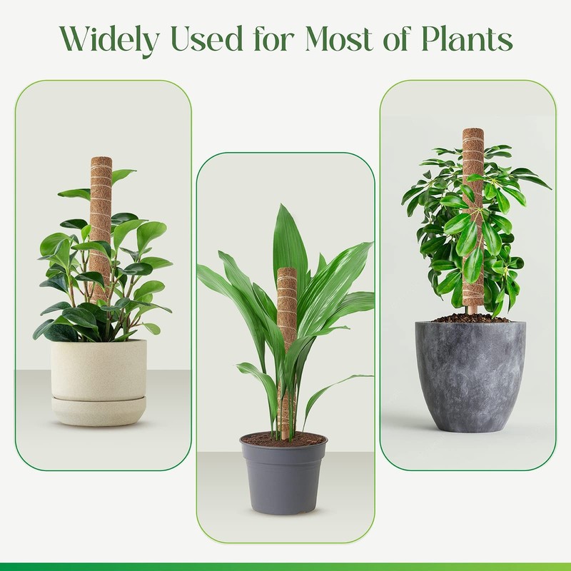 Moss Pole for Plants Monstera, Extendable Plant Sticks Support, Plant Stakes ... gallery