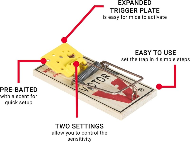 Set Wooden Snap Trap - 12 Pack gallery