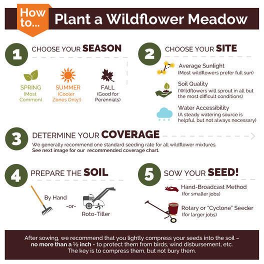 Wildflower Mix DEER RESISTANT Perennial & Annual Best Seller Non-GMO 500+ Seeds! gallery