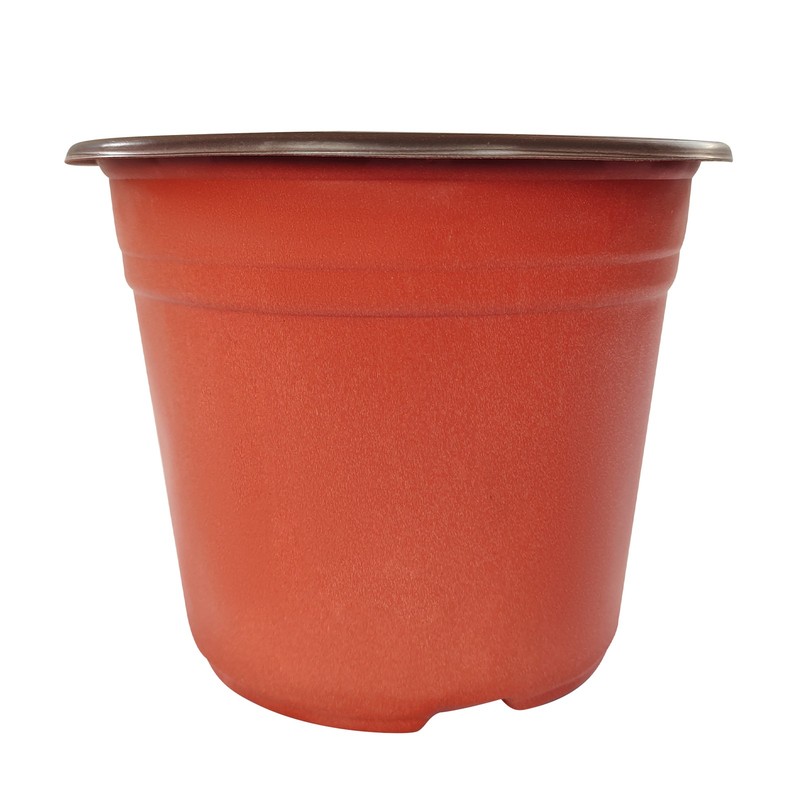 100 Pack 8 Inch Multi-Purpose Plastic Pots for Flowers and Nursery Plants gallery
