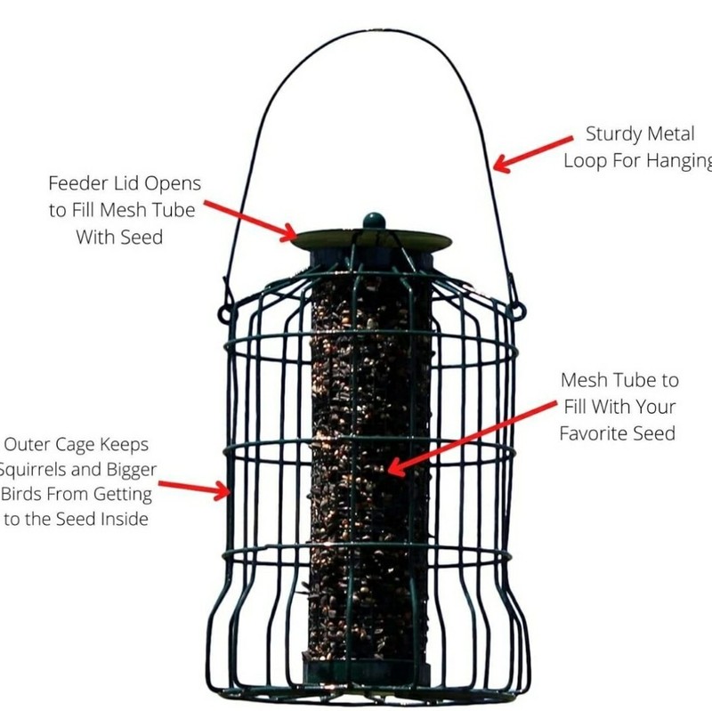 PETITE SQUIRREL RESISTANT CAGED BIRD SEED FEEDER BE161 BACKYARD ESSENTIALS gallery