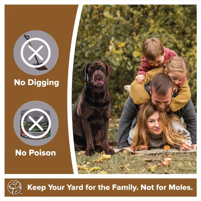 Mole Trap gallery