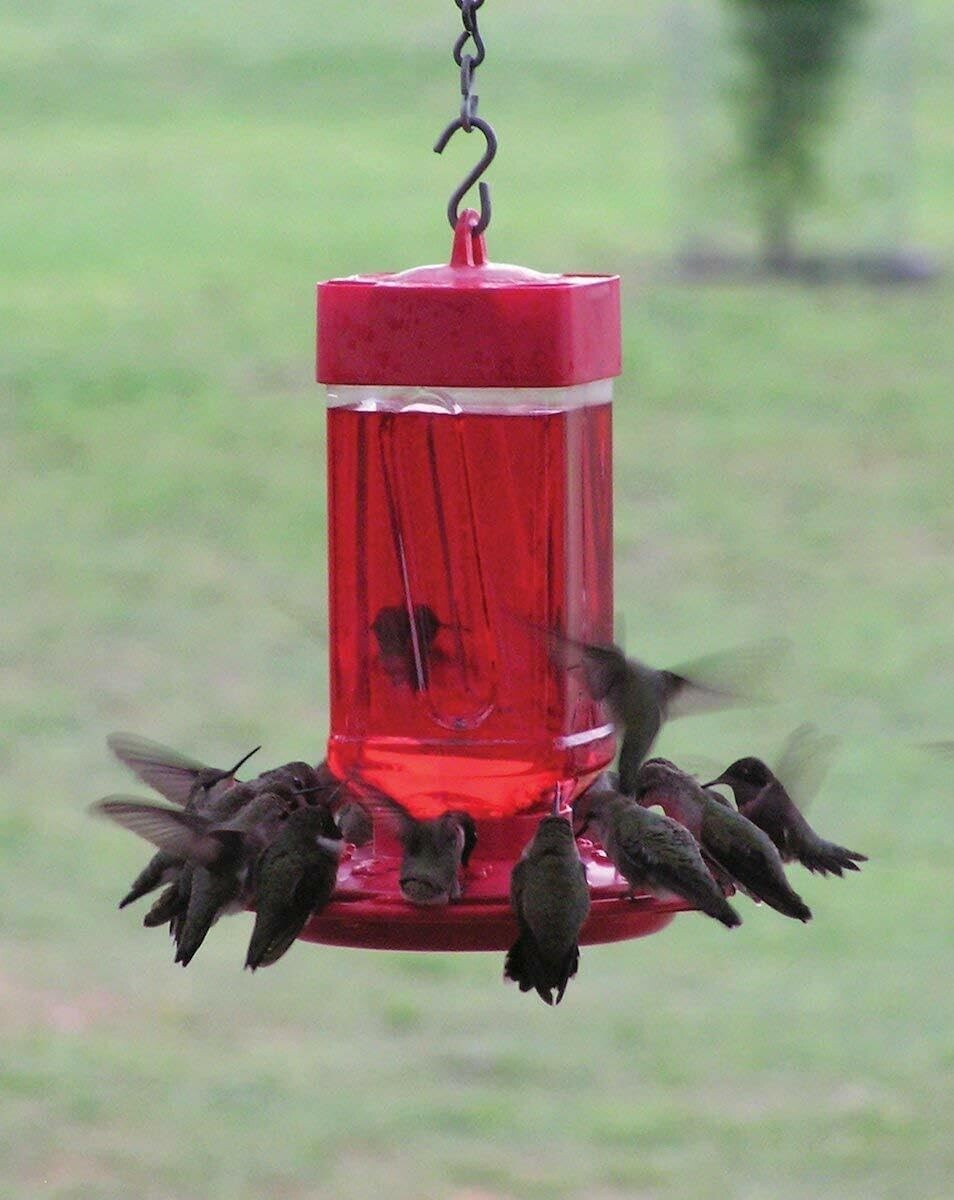FIRST NATURE HUMMINGBIRD FEEDER 32 OZ WIDE MOUTH #3055 EASY CLEAN - MADE IN USA gallery