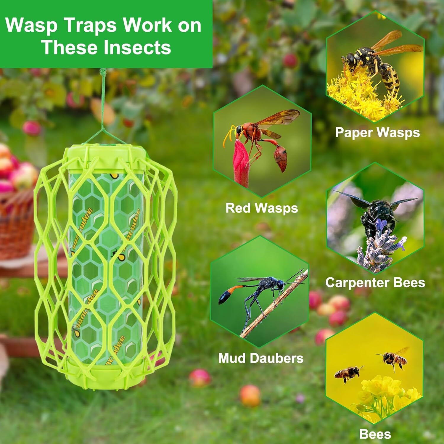 4 Pack Outdoor Wasp Trap, Carpenter Bee and Hornet Catcher, Reusable gallery
