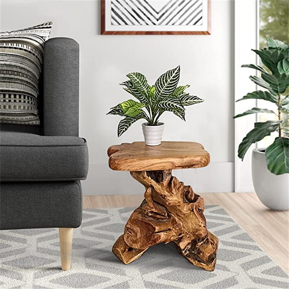 Natural Irregular Shape Tree Stump End Table Plant Stand, 14"x13"x18"H gallery