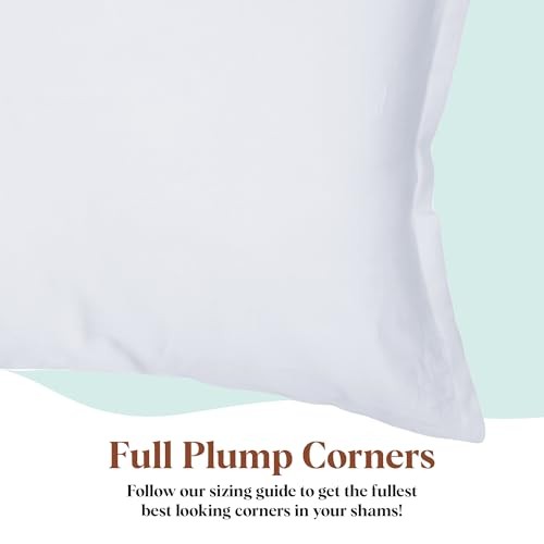 Premium Polyester Throw Pillow Insert - 13x19 - Ultra Soft 13 Inch by 19 Inch gallery