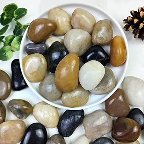 2lbs Pebbles for Indoor Plants, 1-2 Inch High Polished 2 Pounds Mixed Color gallery