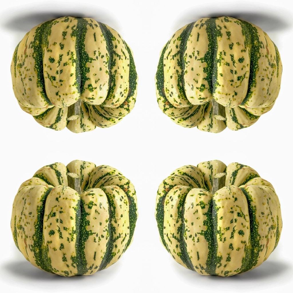 25 SWEET DUMPLING SQUASH SEEDS WINTER SQUASH gallery