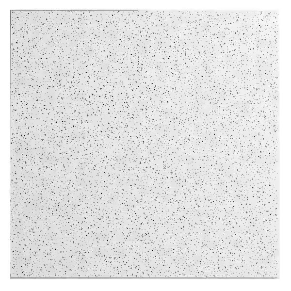 2X2 Ft. Radar Basic White Square Edge Lay-In Ceiling Tile Case of 4 (16 Sq. Ft.)