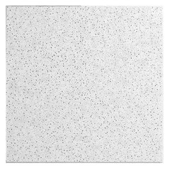2X2 Ft. Radar Basic White Square Edge Lay-In Ceiling Tile Case of 4 (16 Sq. Ft.)