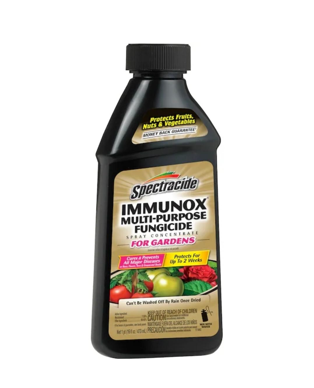Spectracide Immunox Multi-Purpose Fungicide Spray Concentrate For Gardens 16 Oz gallery