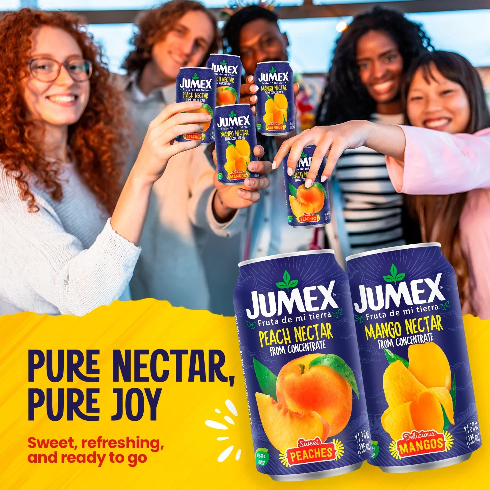 Jumex Mango Nectar Juice & Peach Nectar Juice, 11.3 fl oz, 12 pack gallery