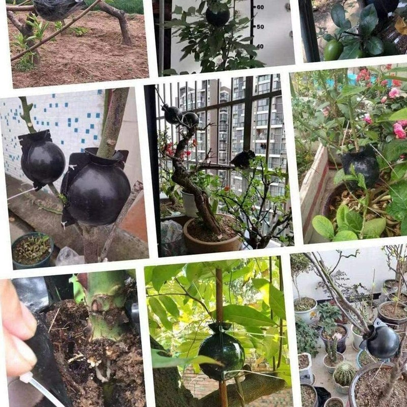 10/20Pcs 8CM Plant Root Craft Boxes High Pressure Propagation Layering Pod Balls gallery