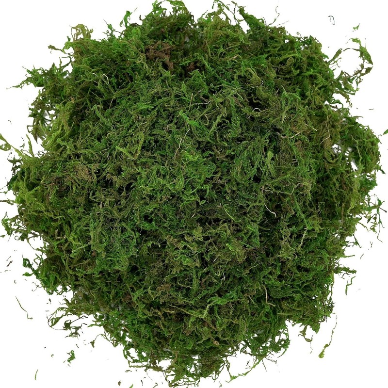 Versatile Artificial Moss 16oz - Perfect for Fairy Gardens & Floral Arrangements gallery