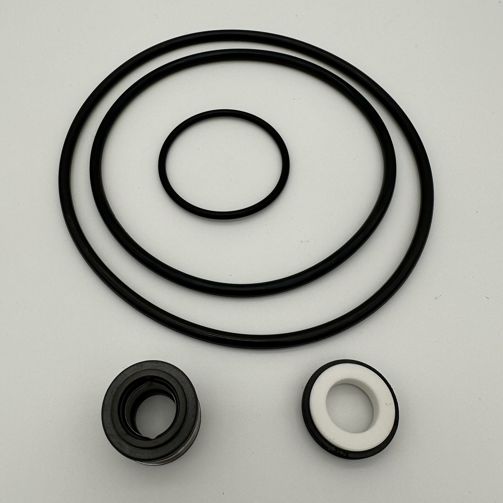 Pentair Dynamo Swimming Pool Pump Kit O-rings Seal Repair Rebuild gallery