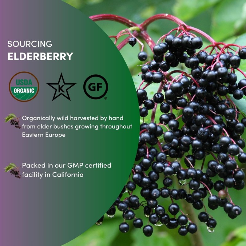 Worldwide Botanicals Organic Dried Elderberries, 1 lb 100% Sambucus nigra – ... gallery