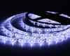 12V 1M 5M Waterproof LED Light Strips 6 Colors 3528SMD gallery