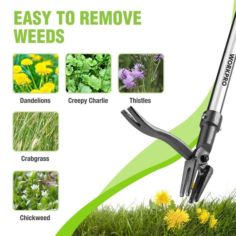 WORKPRO Weed Puller Tool Long Adjustable Handle Stand Up Heavy Duty Weed Remover gallery