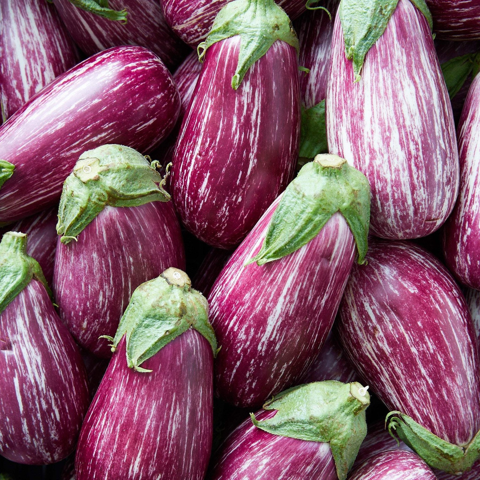 30 Pandora STRIPED ROSE EGGPLANT Solanum Melongena White Fruit Vegetable Seeds gallery
