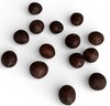 Sweet Bay laurel Tree {Laurus nobilis} 2026 Harvest Pre-Stratified 8 seeds gallery