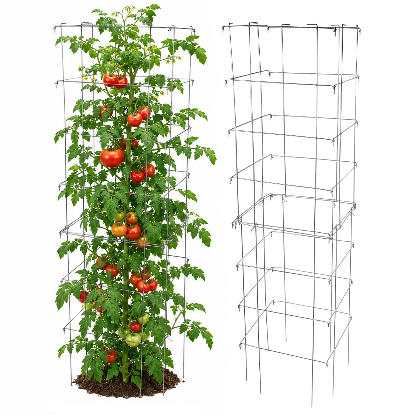 Garden Elements Square 8-Leg Collapsible Tomato Cages, 67in (Pack of 2) gallery