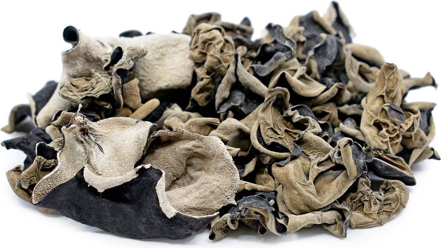Wood Ear Mushroom (dried) 1 LB gallery