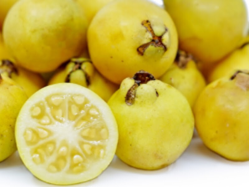 20 Yellow Lemon Guava seeds. The fruit tasted great gallery