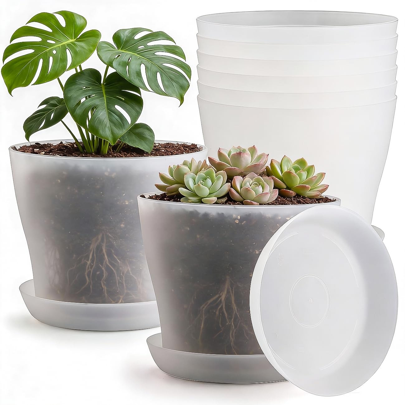 8 Inch Clear Nursery Pots 6 Pack Plastic Planters with Drainage for Succulents gallery