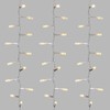 36.5' DIAMOND SNAKE LIGHTS CLEAR WIRE 500 WARM WHITE Christmas RAZ L4237000 NEW gallery