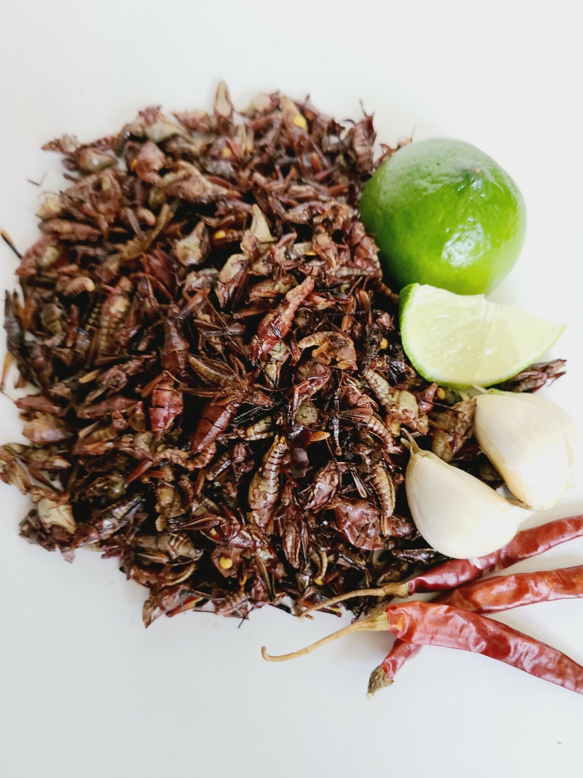 • 1 LB CHAPULINES PICOSITOS "Fresh" (spicy grasshoppers) OAXACA gallery