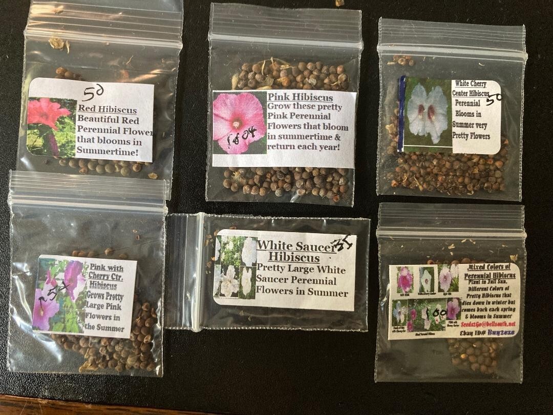 400 + 6 Different True Perennial Hibiscus RED/WHITE/PINKS/MIXED SEEDS ETC., #21 gallery