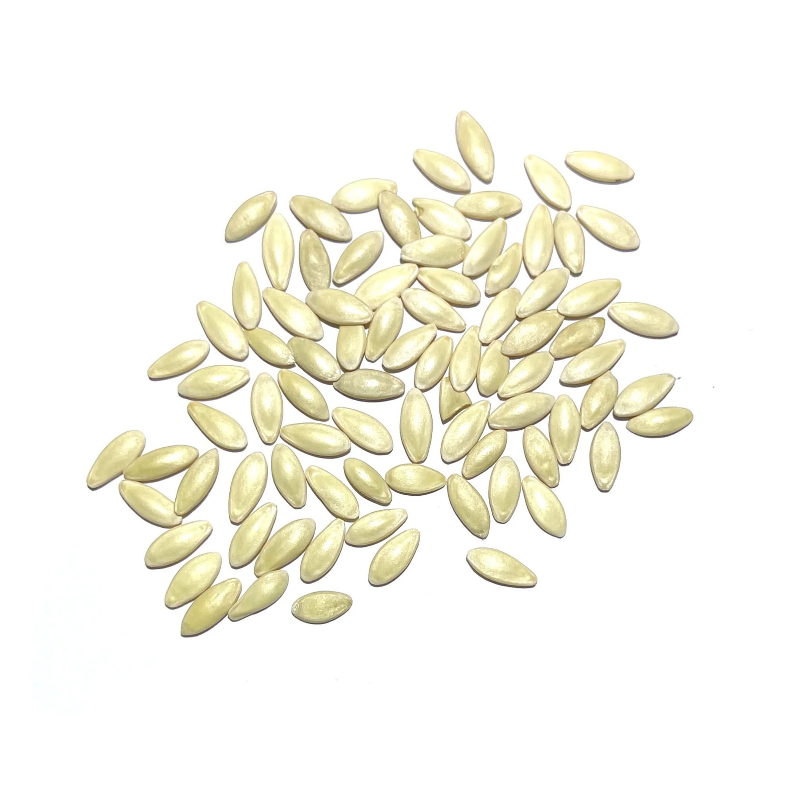 Bush Pickle Cucumber Seeds For Planting (Cucumis sativus) gallery