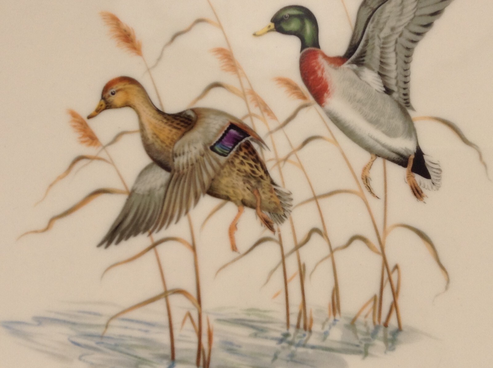 ROYAL DEVON GAME BIRD SERIES DINNER PLATES, 10.5", SILVER TRIM, (4) gallery