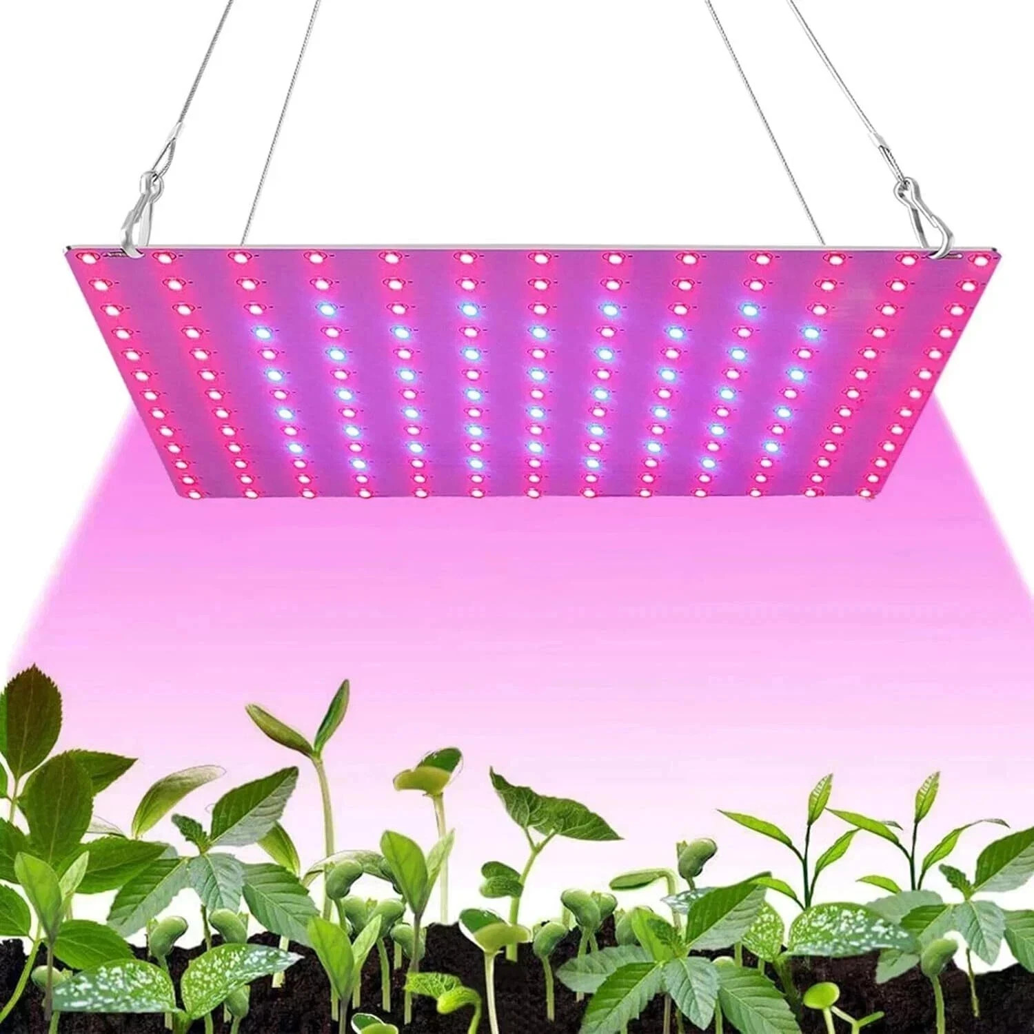 1000W Grow Light Full Spectrum LED Growing Lamp for Indoor Veg Bloom gallery