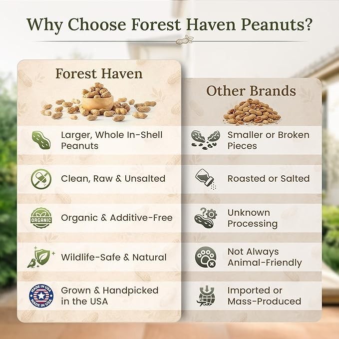 Raw Peanuts for Squirrels Peanuts in Shell for Birds, Deer & Wildlife USA Grown gallery