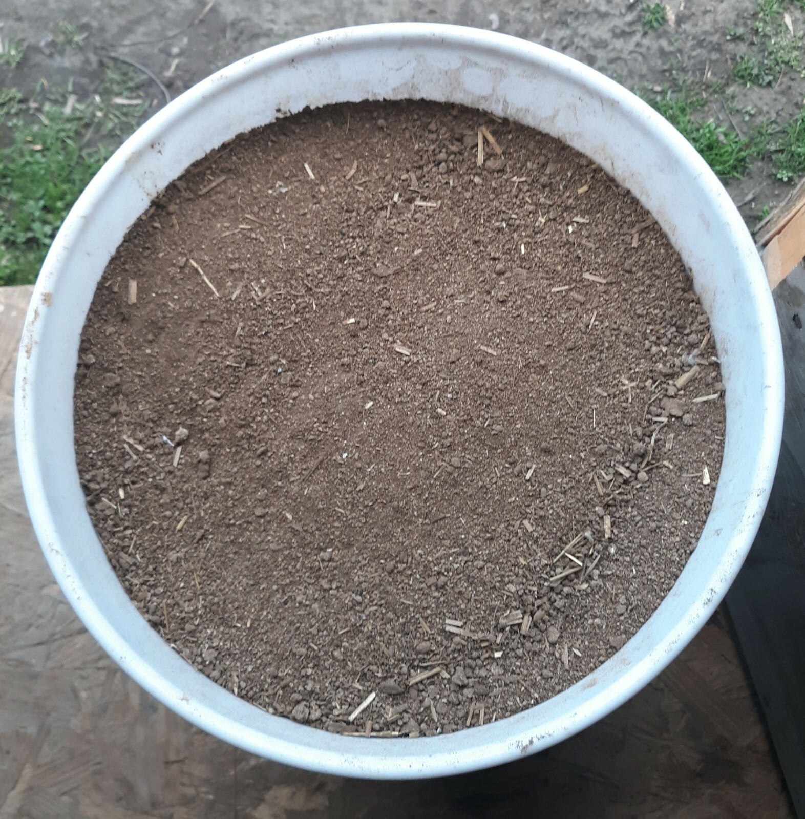 16 Lbs Dry Chicken Manure gallery
