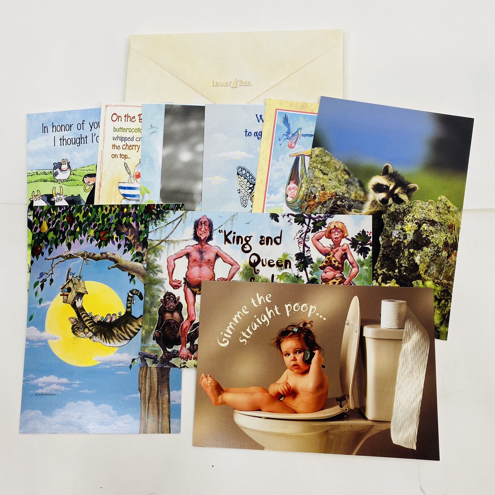 Leanin' Tree 10ct All Occasions Greeting Card Assortment Birthday Get Well USA gallery