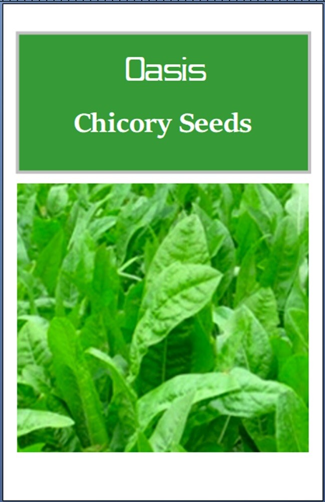 Oasis Chicory Seeds | NON-GMO | Heirloom | Fresh Flower Seeds gallery