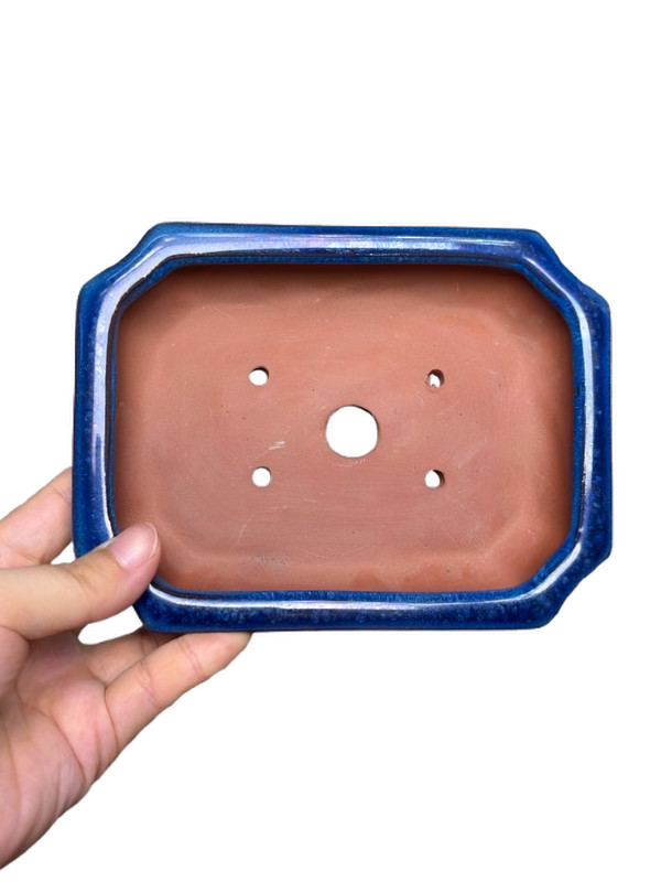 Rectangle Shohin Bonsai / Succulent Pot 6"x 4.5"x 1.4" - Blue Glazed gallery