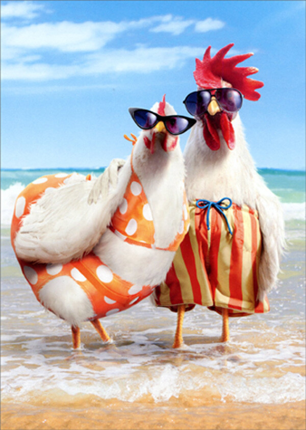 Chicken Couple on Beach Humorous Funny Wedding Anniversary Card for Couple gallery