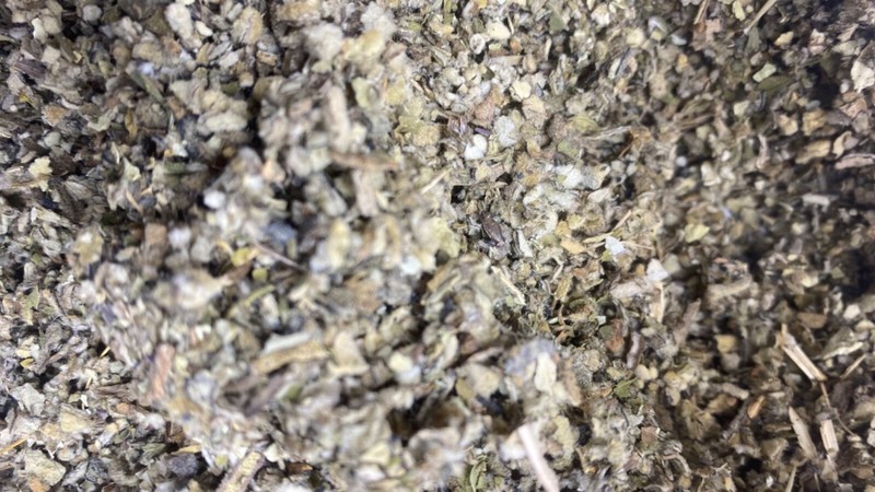 lobelia coltsfoot peppermint mullein organic wild crafted herb mix - 1 2 4 oz gallery