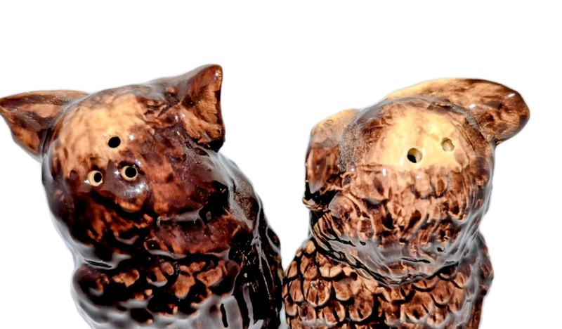 Cracker Barrel Owl Salt & Pepper Figurines Fall Harvest Woodland Shakers NEW Box gallery