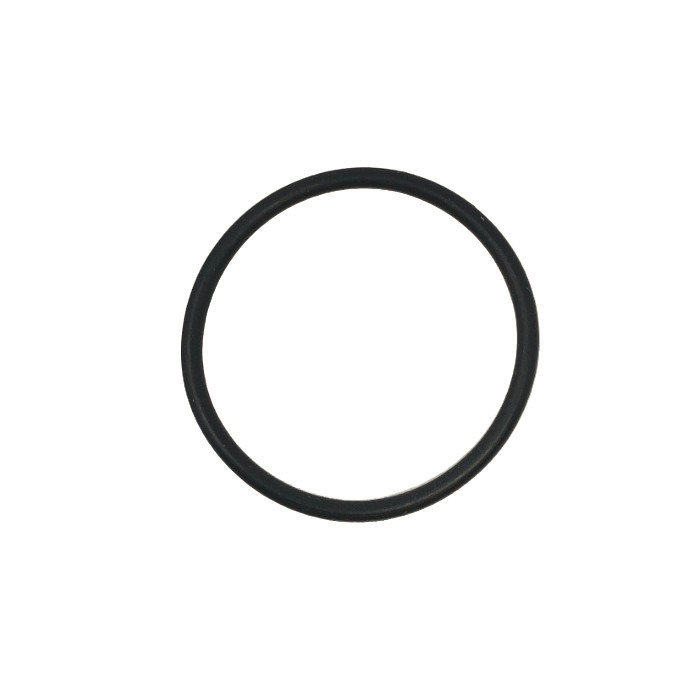 Intex Transparent Adapter Connector O-Ring for 26355EH Pool Sand Filter Pump gallery