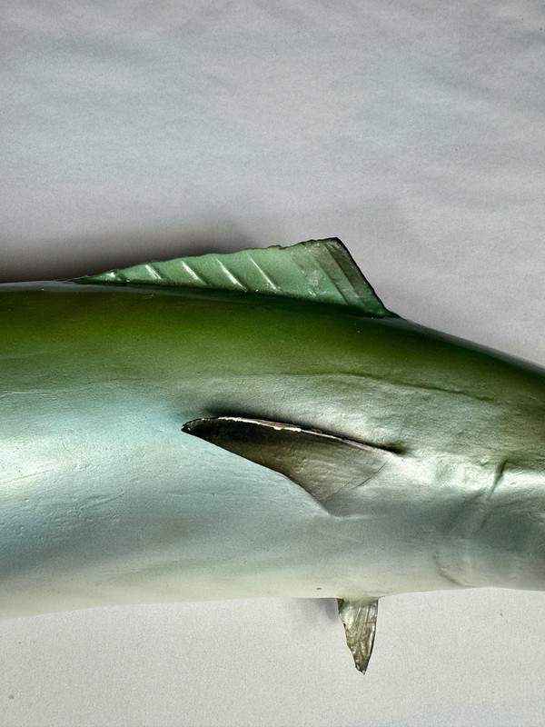 Kingfish - Half Mount Fish Replica - 32 Inches Long gallery